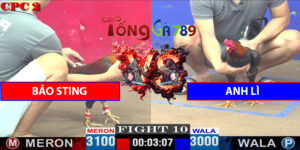 Trận 10 CPC2 11/4/2025 - Bảo Sting Đấu Anh Lì