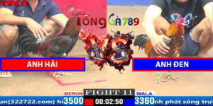 Trận 11 CPC1 5/4/2025 Anh Hải Đấu Tính Gaking