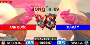 Trận 11 CPC2 16/4/2025 - Tư Mã Ý Phục Thù Anh Quốc