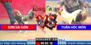 Trận 12 CPC1 5/4/2025 - Sơn Sài Gòn Đấu Tuấn Hóc Môn