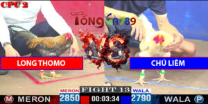 Trận 13 CPC2 13/4/2025 - Long Thomo Đấu Với Chú Liêm