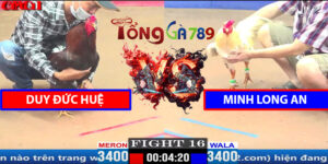Trận 16 CPC1 5/4/2025 - Duy Đức Huệ - Minh Long An