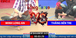 Trận 17 CPC1 5/4/2025 - Má Minh Đấu Thắng Bến Tre