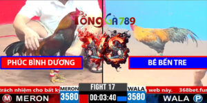 Trận 17 CPC3 1/4/2025 - Phúc Bình Dương Hạ Luôn Bé Bến Tre