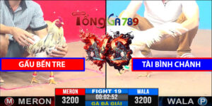Trận 19 CPC3 9/4/2025 - Gấu Bến Tre Đấu Tài Bình Chánh