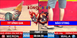 Trận 2 CPC3 1/4/2025 - Tỷ Vĩnh Gia Đấu Bảo Sting