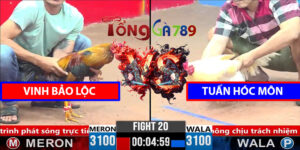 Trận 20 CPC3 1/4/2025 - Vinh Bảo Lộc Lụm Tuấn Hóc Môn