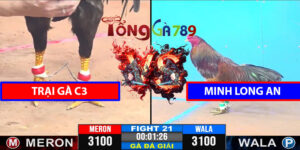 Trận 21 CPC3 9/4/2025 - Trại Gà C3 Đấu Minh Long An