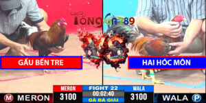 Trận 22 CPC3 9/4/2025 - Gấu Bến Tre - Hai Hóc Môn