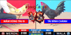 Trận 23 CPC3 9/4/2025 - Mắm Vũng Tàu B Đấu Tài Bình Chánh