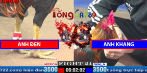 Trận 24 CPC1 3/4/2025 Anh Đen Đấu Anh Khang