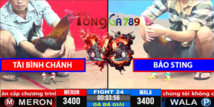 Trận 24 CPC3 1/4/2025 - Bảo Sting Lại Tiếp Tục Thất Bại