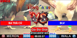 Trận 25 CPC1 26/4/2025 - A Ba Trà Cú Gặp BLV