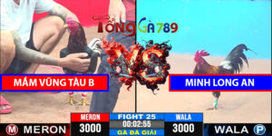 Trận 25 CPC3 9/4/2025 - Mắm Vũng Tàu B Đấu Minh Long An