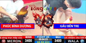 Trận 26 CPC3 1/4/2025 Gấu Bến Tre Lụm Phúc Bình Dương