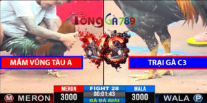 Trận 28 CPC3 9/4/2025 - Trại Gà C3 Tay Chưa Chạm Được Cup