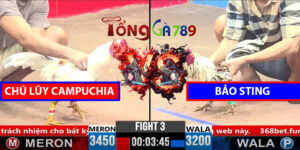 Trận 3 CPC3 1/4/2025 - Chú Lũy Campuchia Lụm Bảo Sting