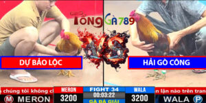 Trận 34 CPC3 1/4/2025 Dự Bảo Lộc Đấu Hải Gò Công