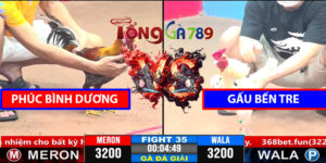 Trận 35 CPC3 1/4/2025 - Gà Phúc Bình Dương Lại Bị Gãy Chân