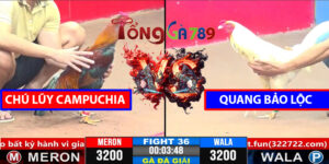 Trận 36 CPC3 1/4/2025 Chú Lũy Campuchia - Quang Bảo Lộc
