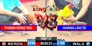 Trận 37 CPC3 7/4/2025 - Thành Vũng Tàu Đấu Hoàng Lão Tà