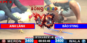 Trận 4 CPC2 11/4/2025 - Anh Lành Đấu Bảo Sting