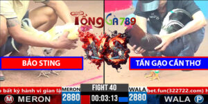 Trận 40 CPC3 1/4/2025 Bảo Sting Lụm Tấn Gạo Cần Thơ