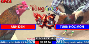 Trận 43 CPC1 3/4/2025 - Tuấn Hóc Môn Đấu Tính Gaking