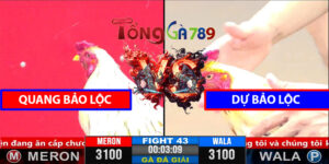 Trận 43 CPC3 1/4/2025 Quang Bảo Lộc- Dự Bảo Lộc