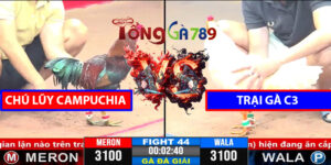 Trận 44 CPC3 1/4/2025 Chú Lũy Campuchia Gặp Trại Gà C3