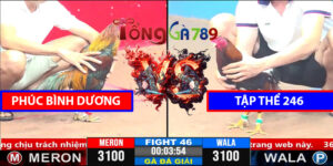 Trận 46 CPC3 1/4/2025 Phúc Bình Dương Đấu Hạ Tập Thể 246