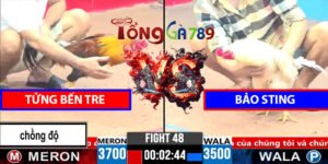 Trận 48 CPC3 1/4/2025 - Tửng Bến Tre Đấu Bảo Sting