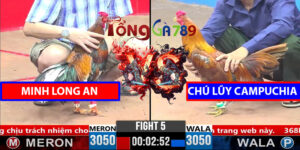 Trận 5 CPC3 1/4/2025 - Má Minh Hạ Chú Lũy Campuchia