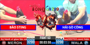 Trận 53 CPC3 1/4/2025 - Bảo Sting Đấu Lại Hải Gò Công