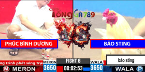 Trận 6 CPC3 1/4/2025 - Phúc Bình Dương Hạ Bảo Sting Lấy 1 Tỷ