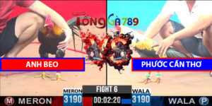 Trận 6 CPC3 9/4/2025 - A Beo Đấu Phước Cần Thơ