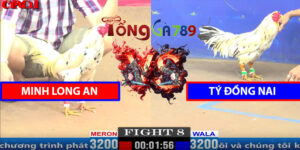 Trận 8 CPC1 5/4/2025 - Minh Long An Đấu Tý Đồng Nai