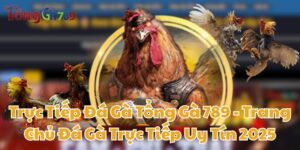 trực tiếp đá gà