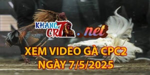 XEM VIDEO GÀ CPC2 NGÀY 7/5/2025
