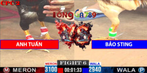 Trận Số 6 CPC2 9/5/2025 - Anh Tuấn Gặp Bảo Sting