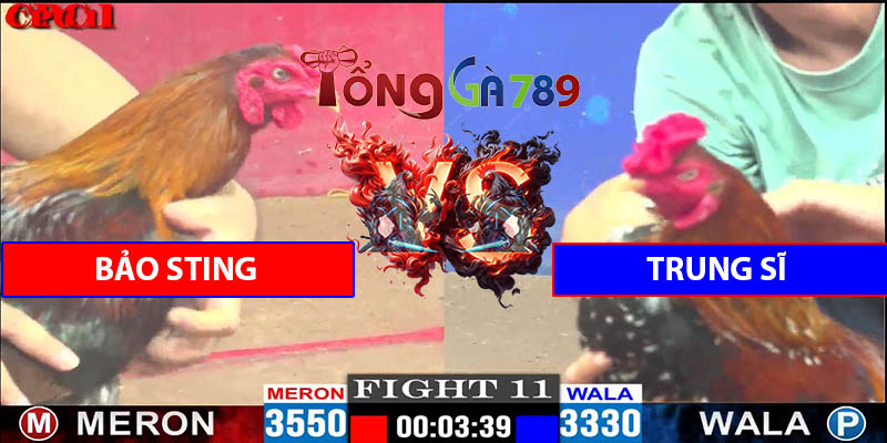 Trận 11 CPC1 15/5/2025 - Bảo Sting Gặp Anh Trung Sĩ