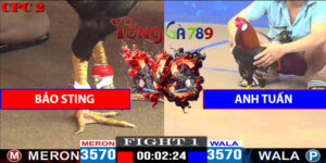 Trận 1 CPC2 9/5/2025 - Bảo Sting Gặp Anh Tuấn