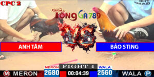 Trận 4 CPC2 4/5/2025 - Anh Tâm Với Bảo Sting