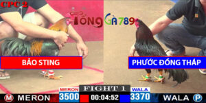 Trận 1 CPC2 4/5/2025 - Bảo Sting Với Phước Đồng Tháp