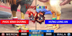 Trận 24 CPC3 7/5/2025 - Chú Bình Dương Bại Vs Hưng Long An