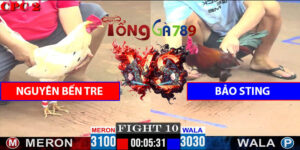 Trận Số 10 CPC2 9/5/2025 - Nguyên Bến Tre Gặp Bảo Sting