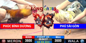 Trận 22 CPC3 7/5/2025 - Phúc Sài Gòn Gặp Phúc Bình Dương B