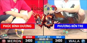 Trận 25 CPC3 7/5/2025 - Phúc Bình Dương Lại Thua Phương Bến Tre