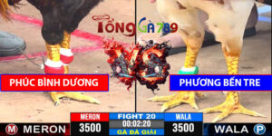 Trận 20 CPC3 7/5/2025 - Phúc Bình Dương A Gặp Phương Bến Tre