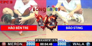 Trận Số 15 CPC2 9/5/2025 - Hào Bến Tre Gặp Bảo Sting